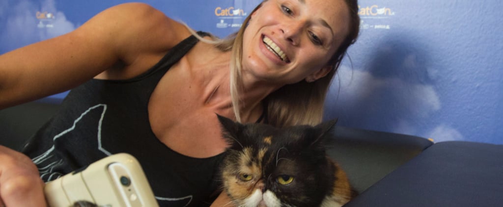 Cat Con LA 2016 Pictures