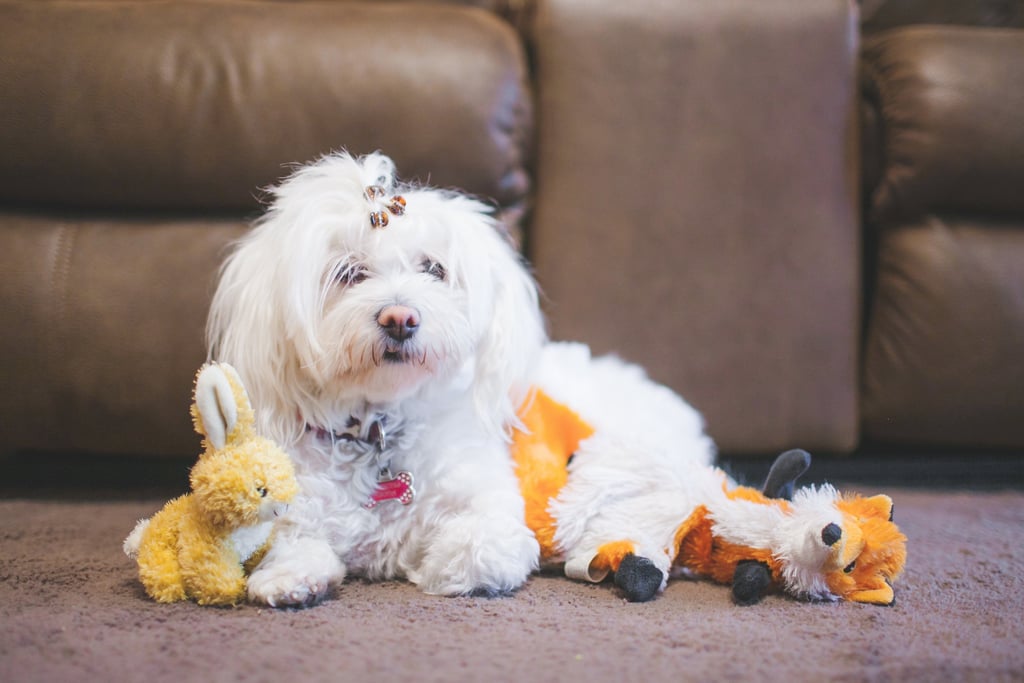 Books to Help Your Kid Cope With the Death of a Pet