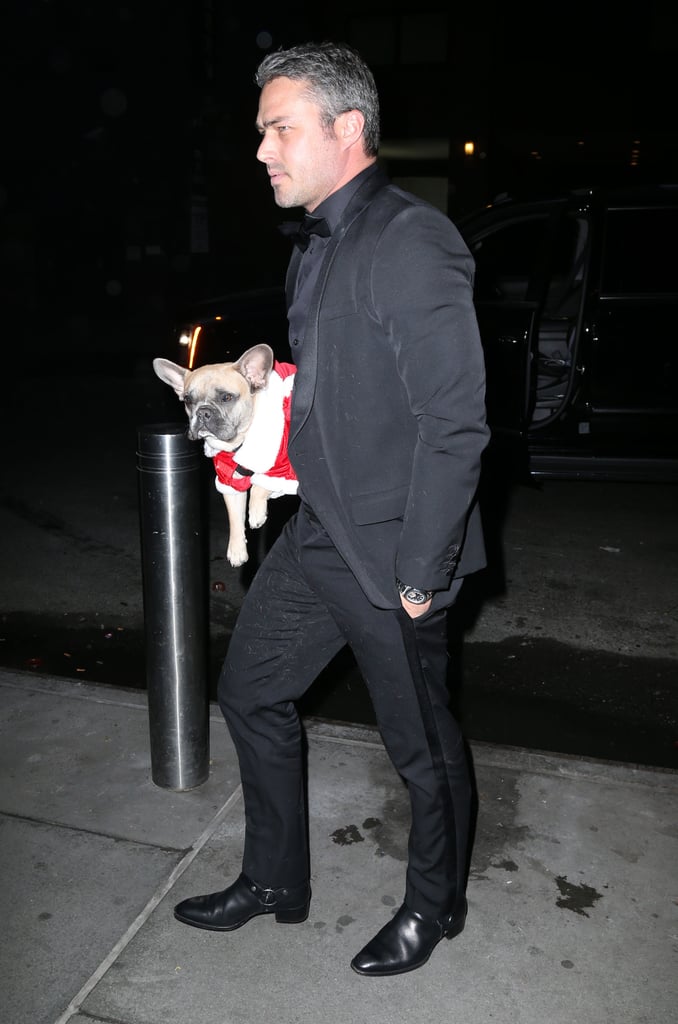 Lady Gaga and Taylor Kinney Dress Their Dogs Like Santa