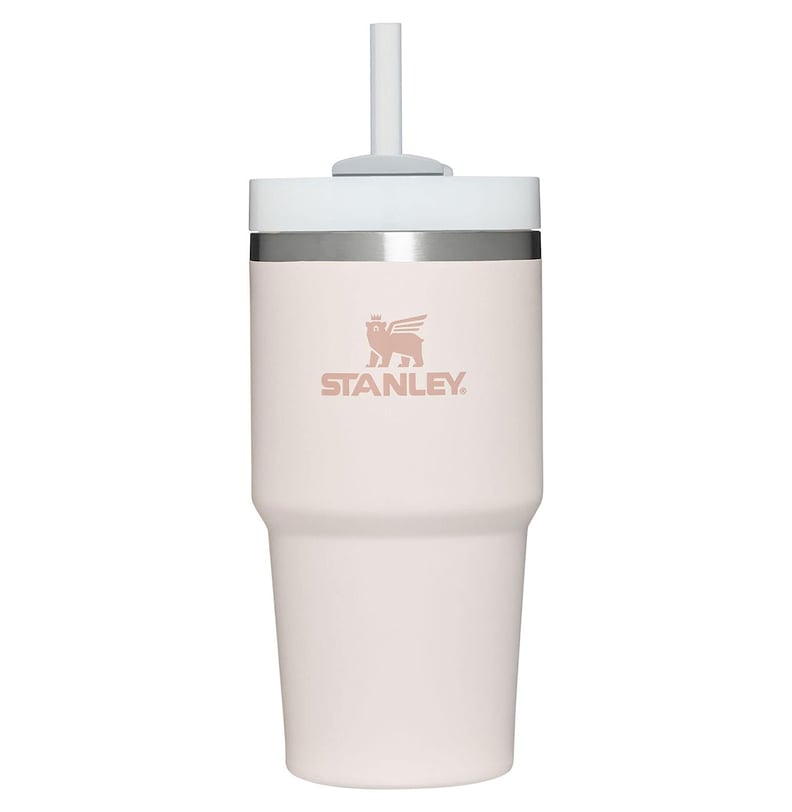 Gifts Under $50 For Women in Their 20s: Stanley Tumbler