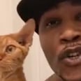 Grab a Towel: This Hot Cat Dad Rapping in the Bath Is About to Make You Sweat