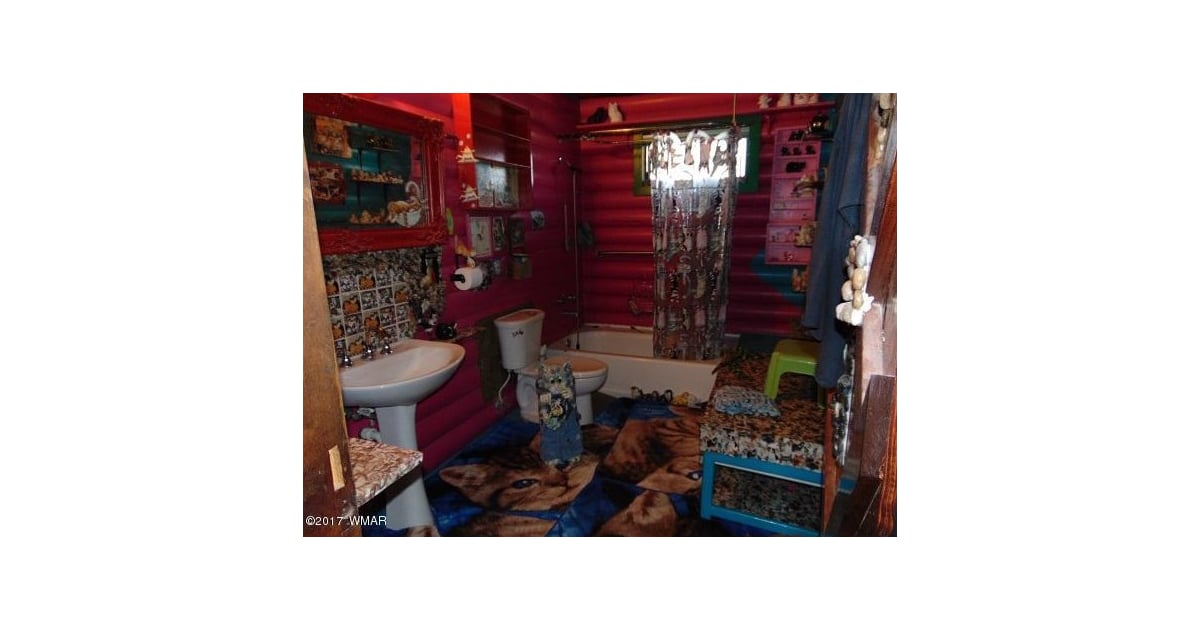 Cat House in Arizona POPSUGAR Home Photo 4