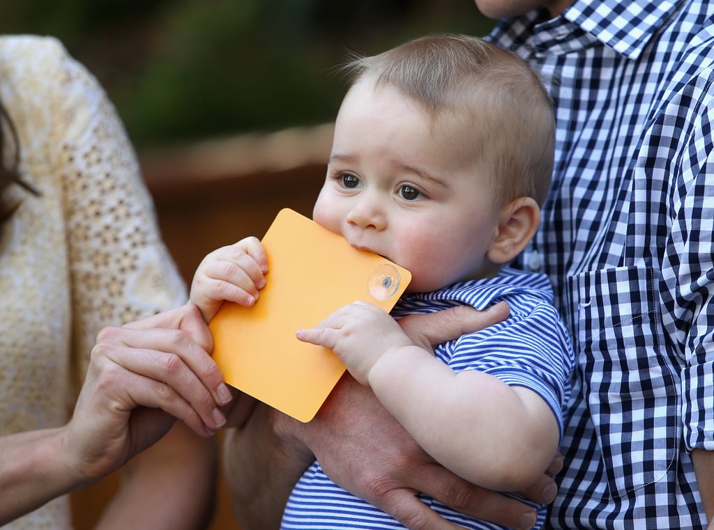 George's visit to the Taronga Zoo in Sydney, Australia, on April 20.