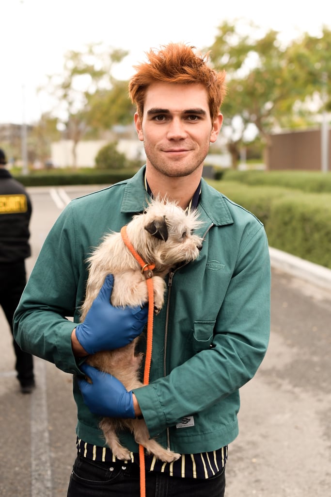 Kj Apa Natural Hair Colour