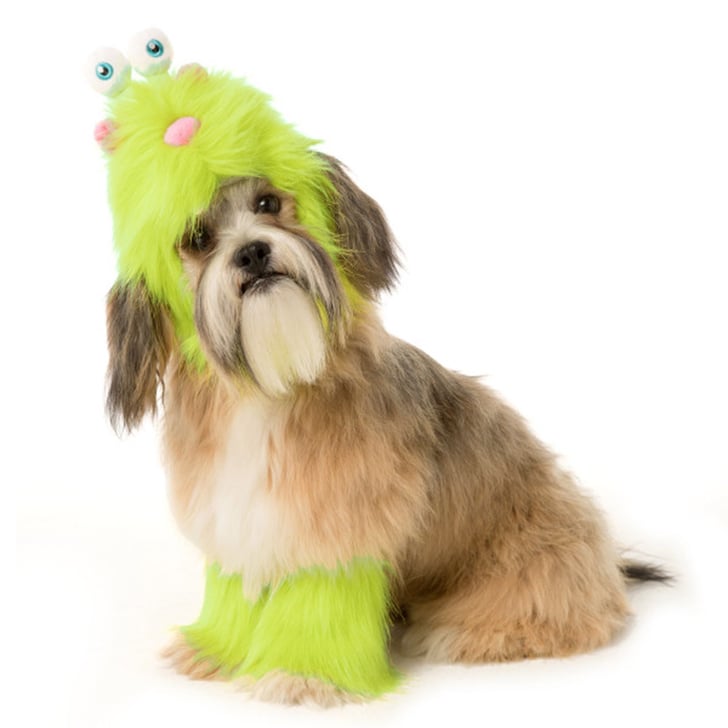petsmart halloween dog toys