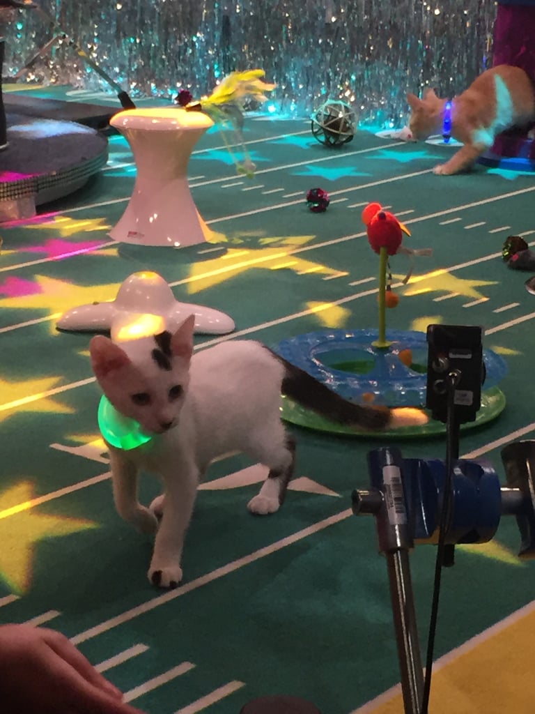 In the holding area, I got to play with all the animals