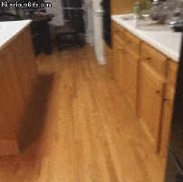 Everything is yours, including what’s in the fridge.
