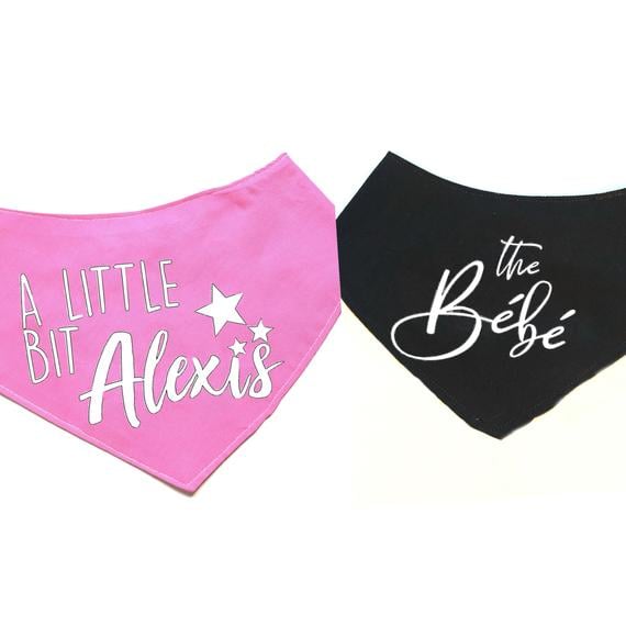 Schitt's Creek A Little Bit Alexis Dog Bandana