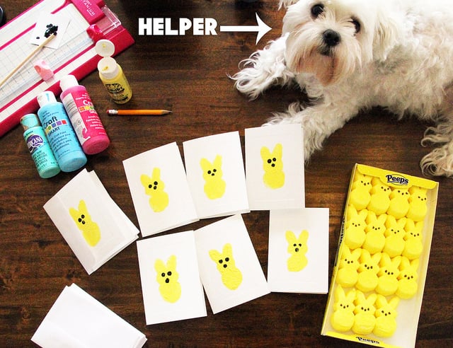 Peep Stamp Cards