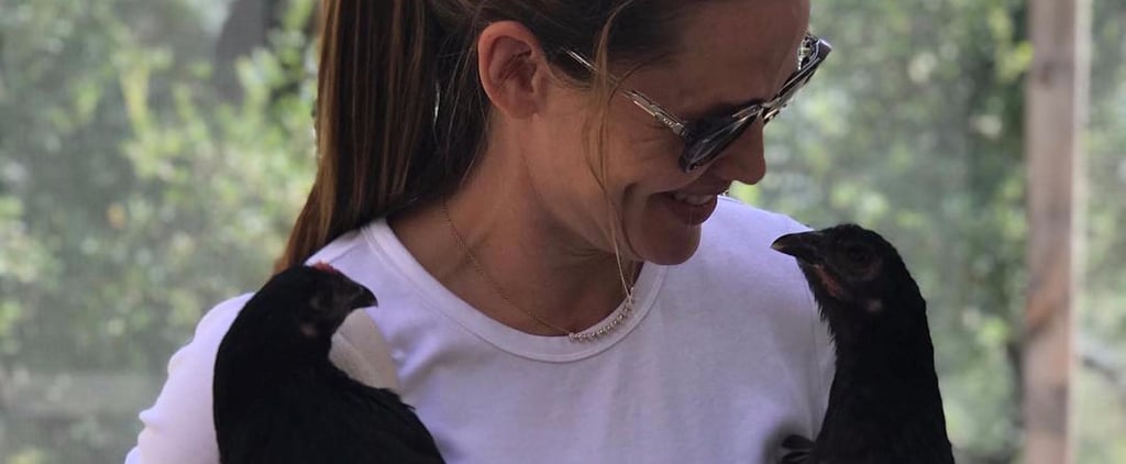 Yes, Jennifer Garner Owns a Pet Chicken Named Regina George