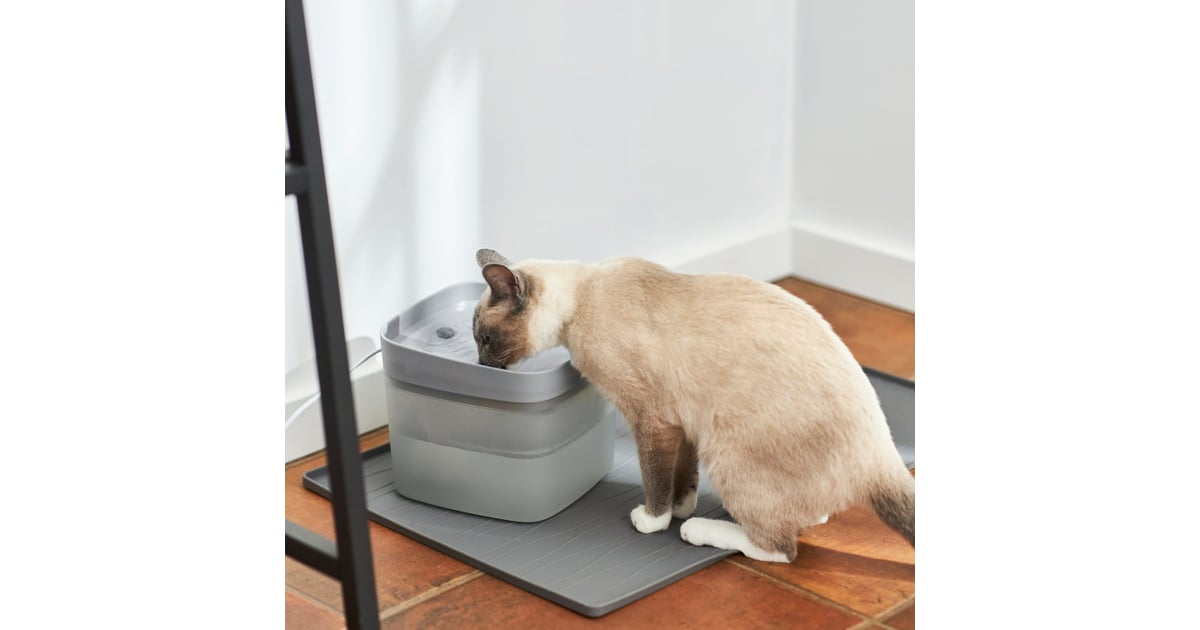 To Stay Hydrated Frisco Square Dog & Cat Fountain Best Chewy Black