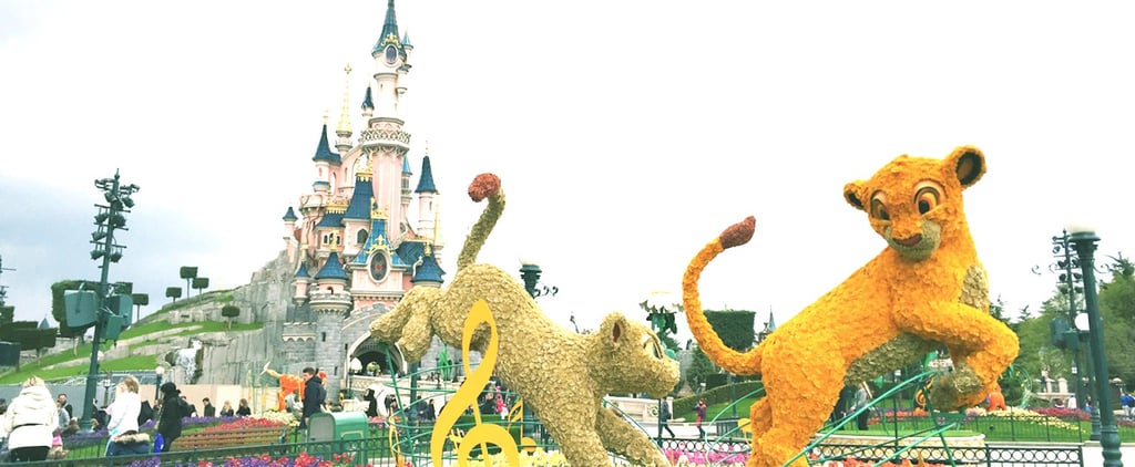Disney Travel Destinations Around the World