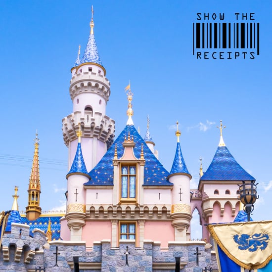 Cost of Being a Disney Adult: See the Receipts