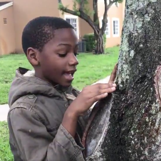 Boy Who Loves Science Posts Viral Video About Trees
