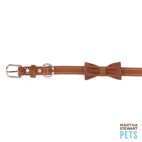 martha stewart dog collar