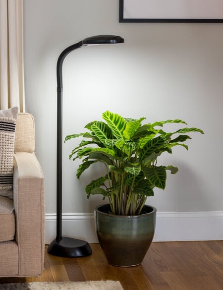 Agrobrite Floor LED Plant Lamp