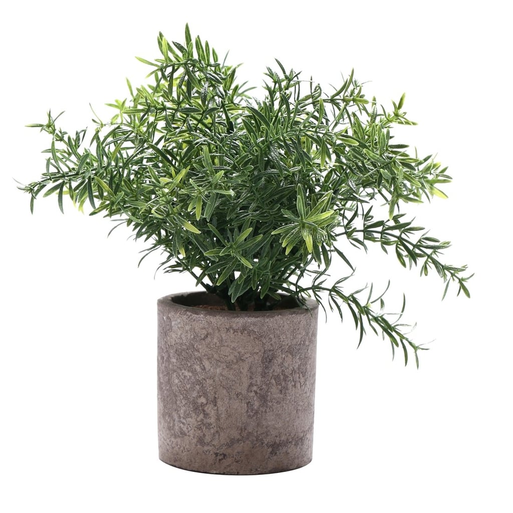 HC Star Artificial Plant