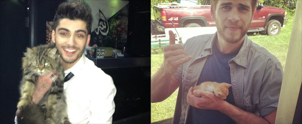 Hot Celebrity Guys With Cats