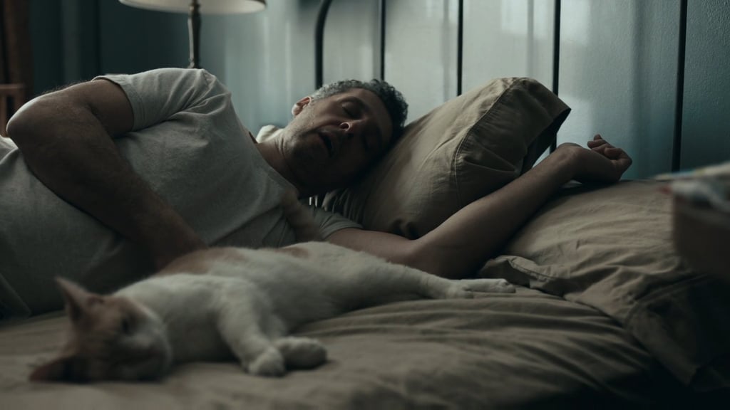 What's up with Stone and the cat?