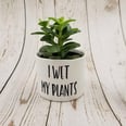 Etsy Is Selling Hilarious Succulent Planters, and We Call Dibs on the "I Wet My Plants" One