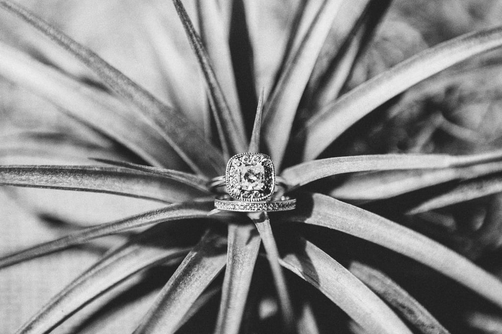 Dreamy and Pastoral LA Wedding