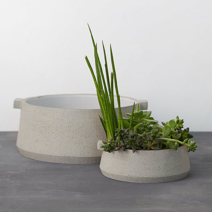 indoor bowl planter