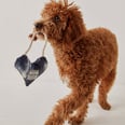 The 12 Best Gifts For Dog-Lovers