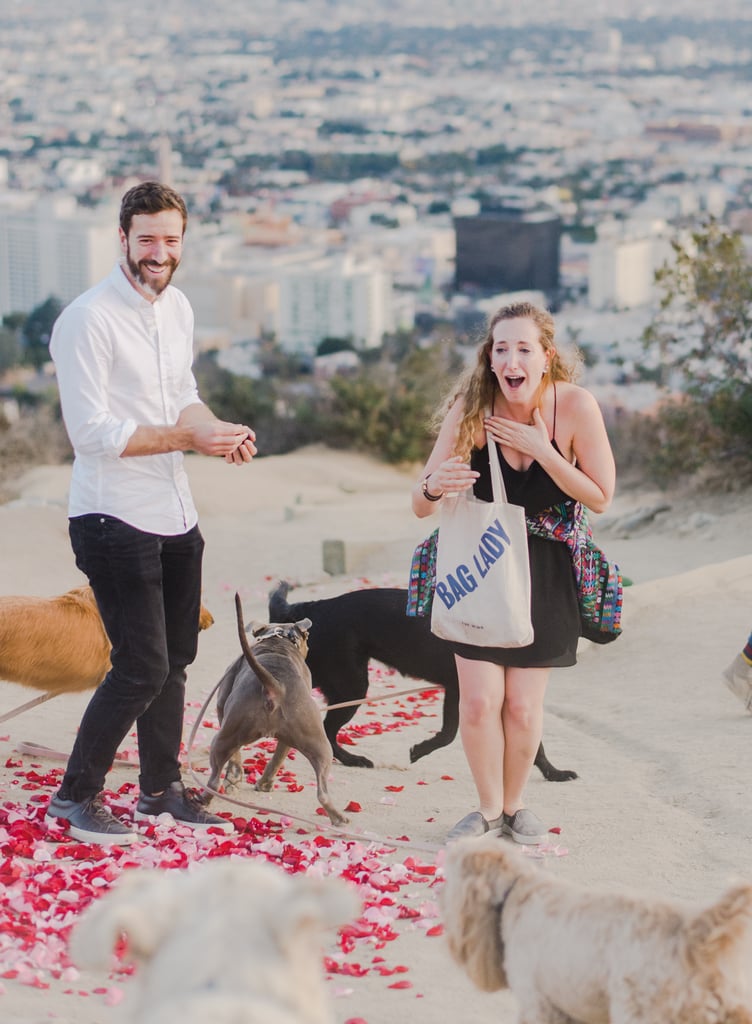 Man Proposes to His Girlfriend With 16 Dogs