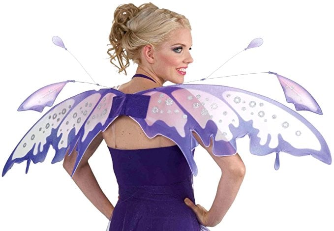 Fantasy Fairy Wings