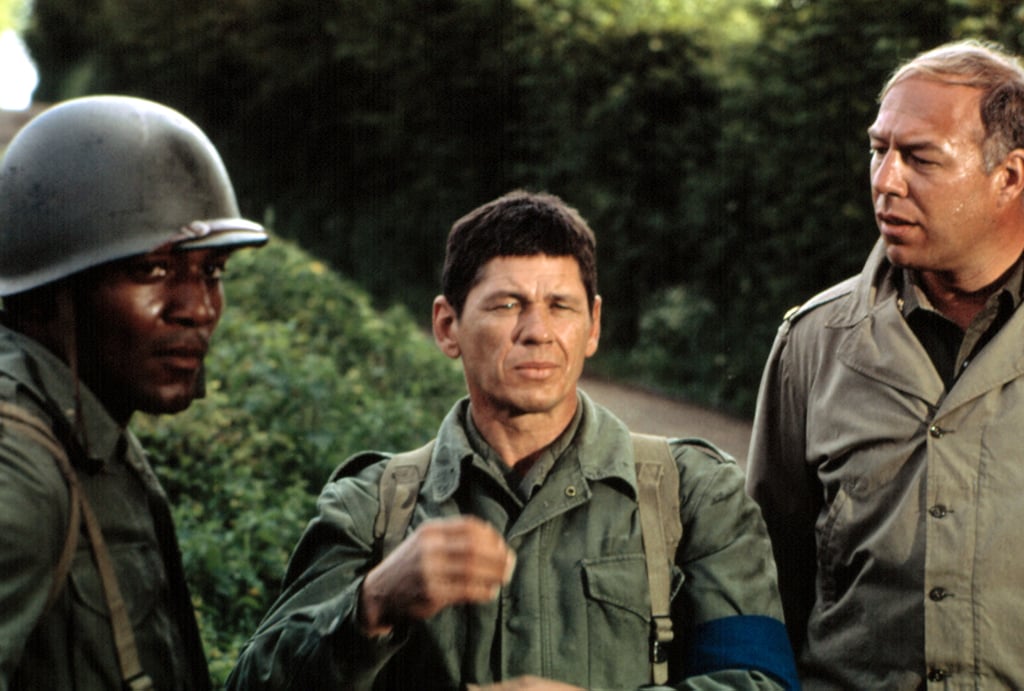 "The Dirty Dozen" 495+ New Netflix Movies to Watch in November 2022