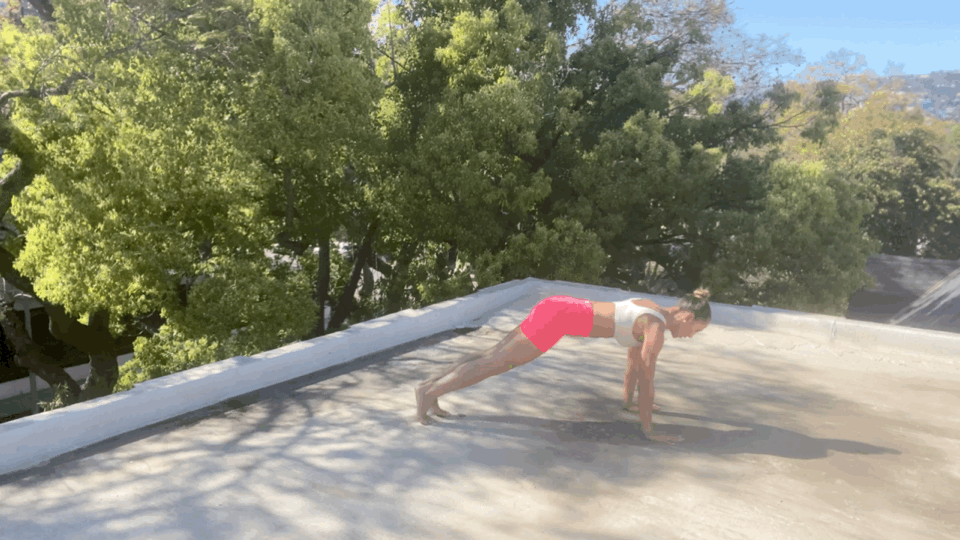 Plank With Side Step