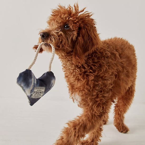 Best Gifts For Dog-Lovers