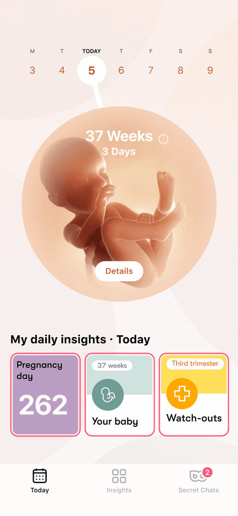 Best Pregnancy Apps For Tracking: Flo