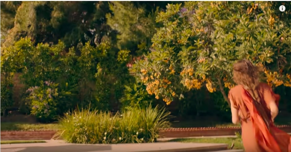 There are even more trees packed with fruit and flowers on the other side of the yard. Plus, there's some fun, spiky shrubbery that adds a different kind of texture.