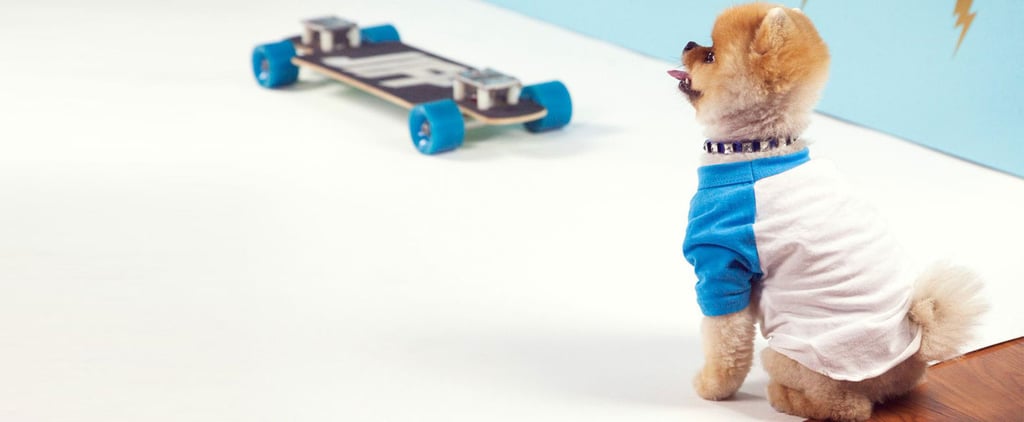 Pet Fashion Gifts