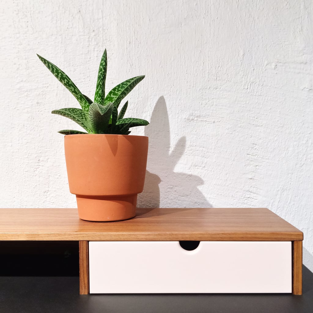 Best Plants For Bathrooms Popsugar Home Australia
