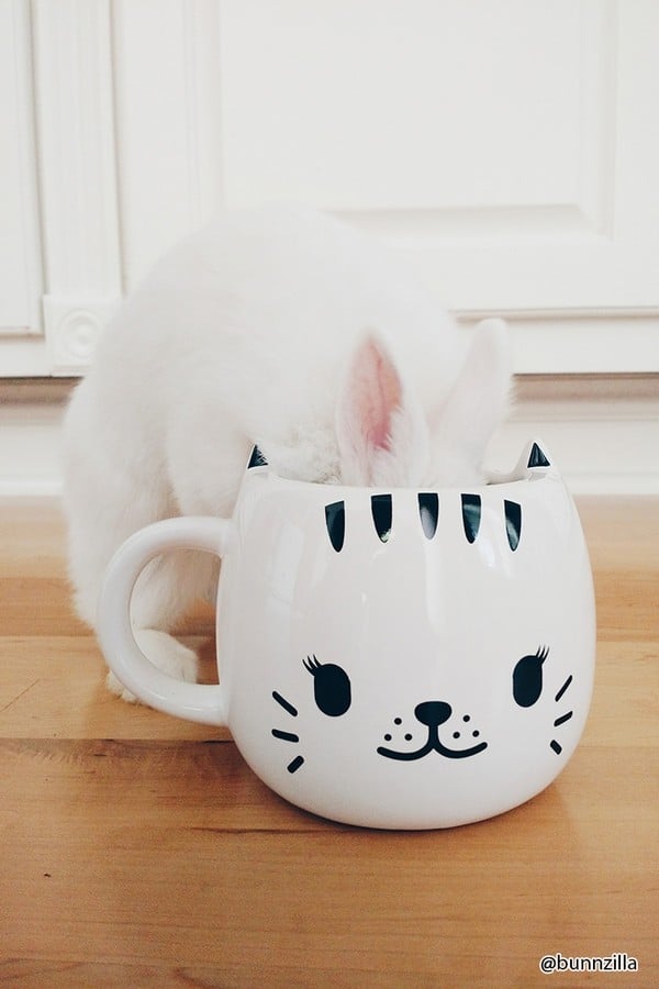 Forever 21 Paladone Happy Cat Changing Mug