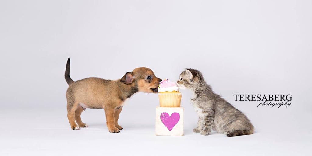 "There's nothing sweeter than friendship!"