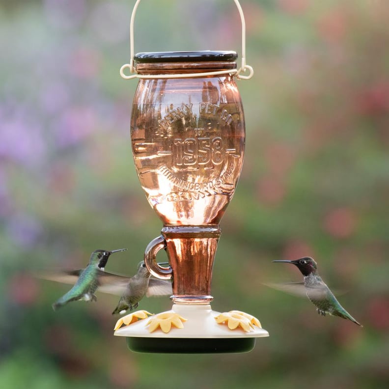 A Top-Fill Feeder: Perky-Pet Sugar Maple Decorative Glass Hummingbird Feeder