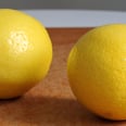 10 Healthy Reasons to Start Squeezing Lemons