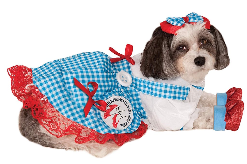 The Wizard of Oz Pet Costume