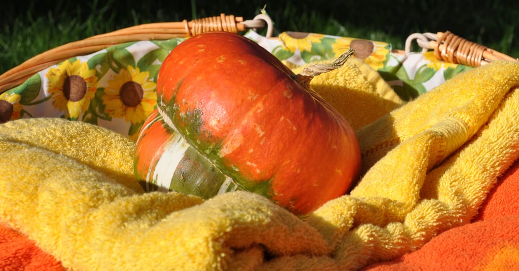 Pumpkin Body Scrub