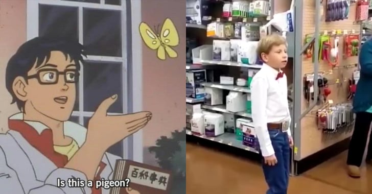 Popular Meme Costume Ideas 2018 Popsugar Tech