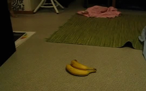 Going-bananas.gif