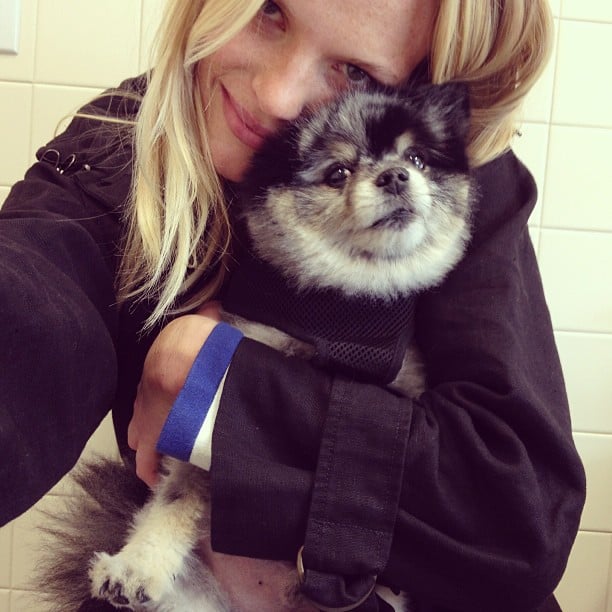 Anne V. has an extremely cute companion in her little dog, Anchovy (Chovy for short).
Source: Instagram user annev_official