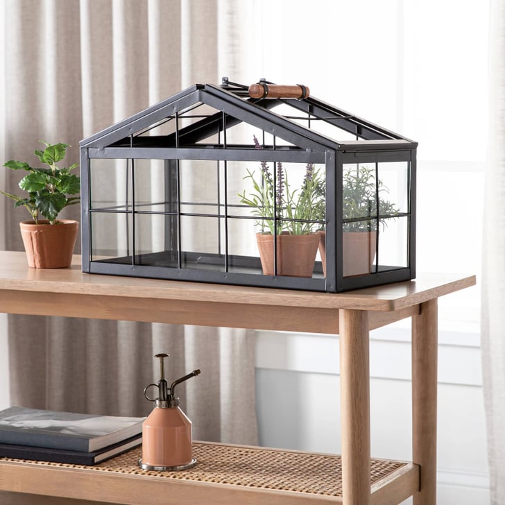 Black Metal Terrarium See Target's New Spring 2020 Hearth & Hand