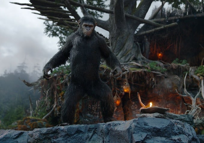 The movie takes place about a decade after the events of 2011's Rise of the Planet of the Apes.