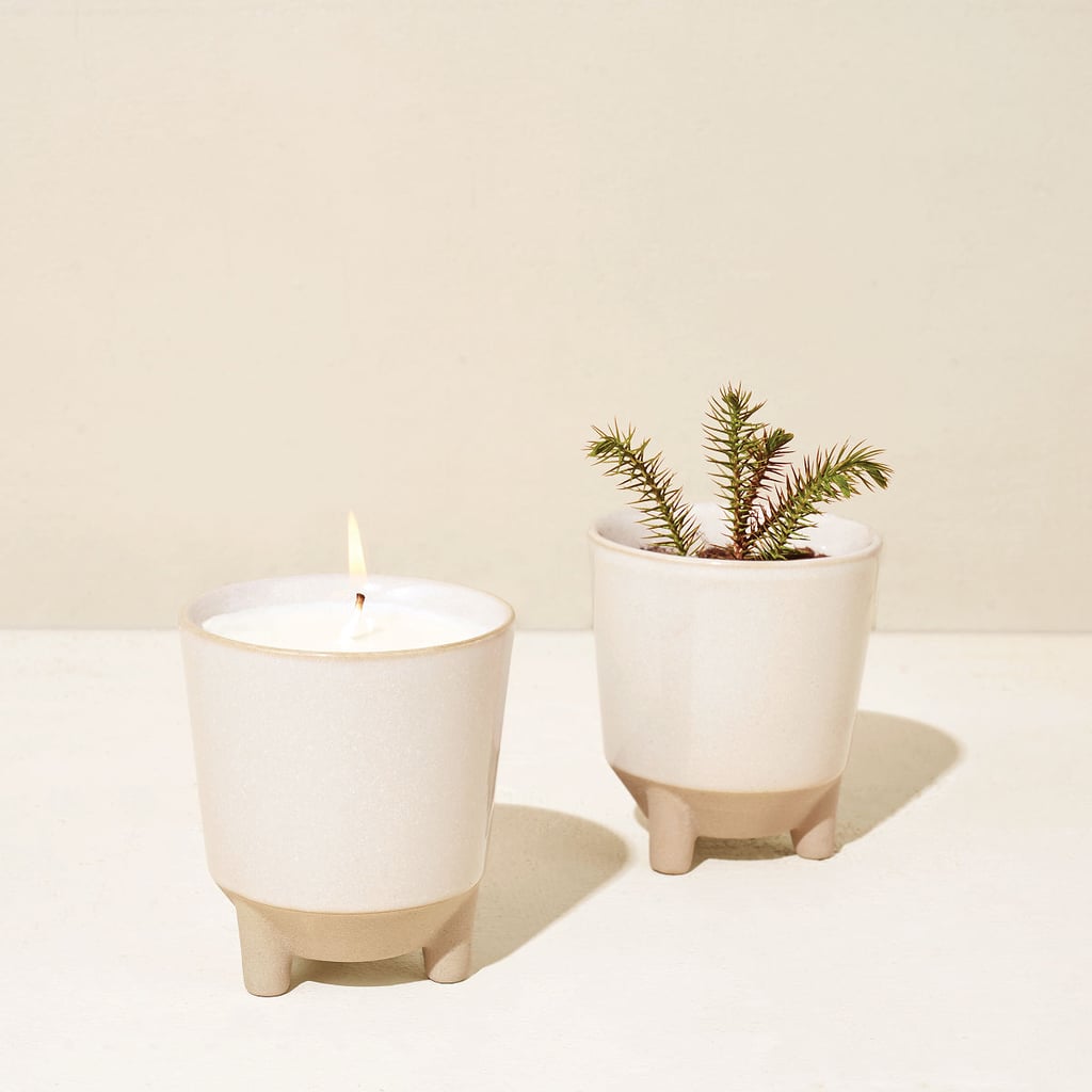 A Mutli-Use Home Decor Find: Winter Spruce Glow & Grow Candle