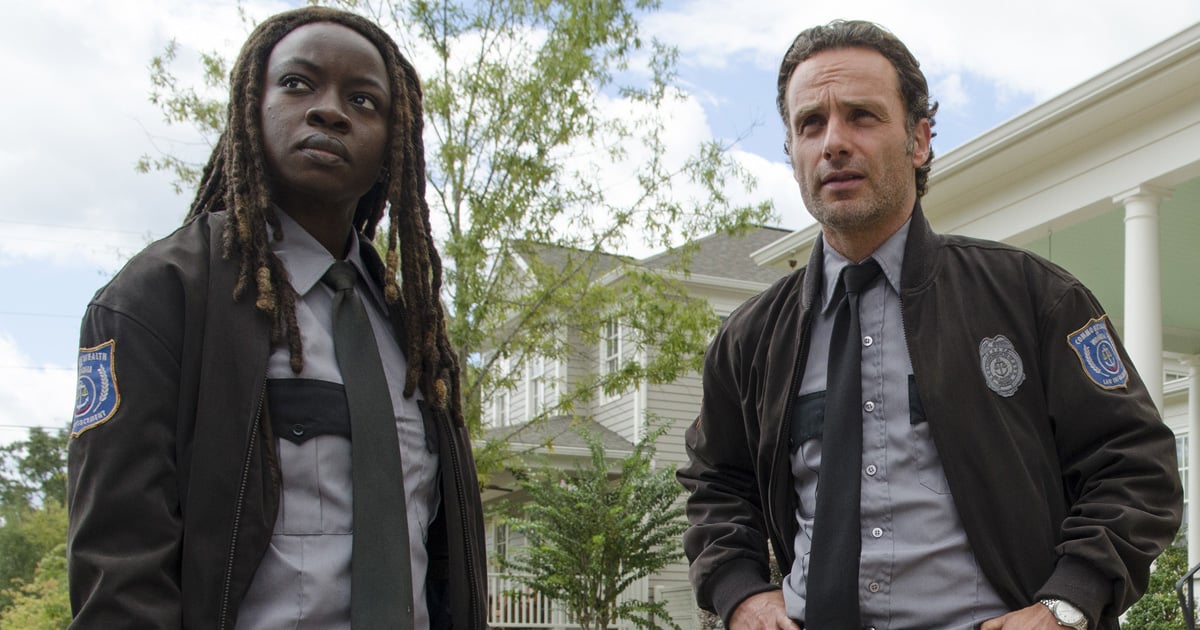 The Walking Dead Rick and Michonne GIFs POPSUGAR Entertainment