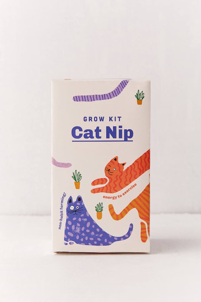 Catnip Grow Kit